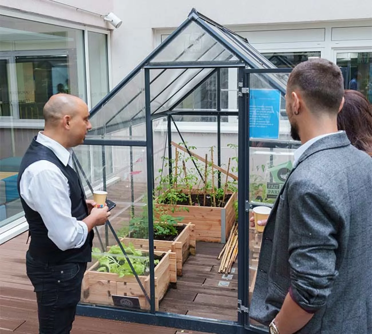 Potager sur la terrasse de l’école